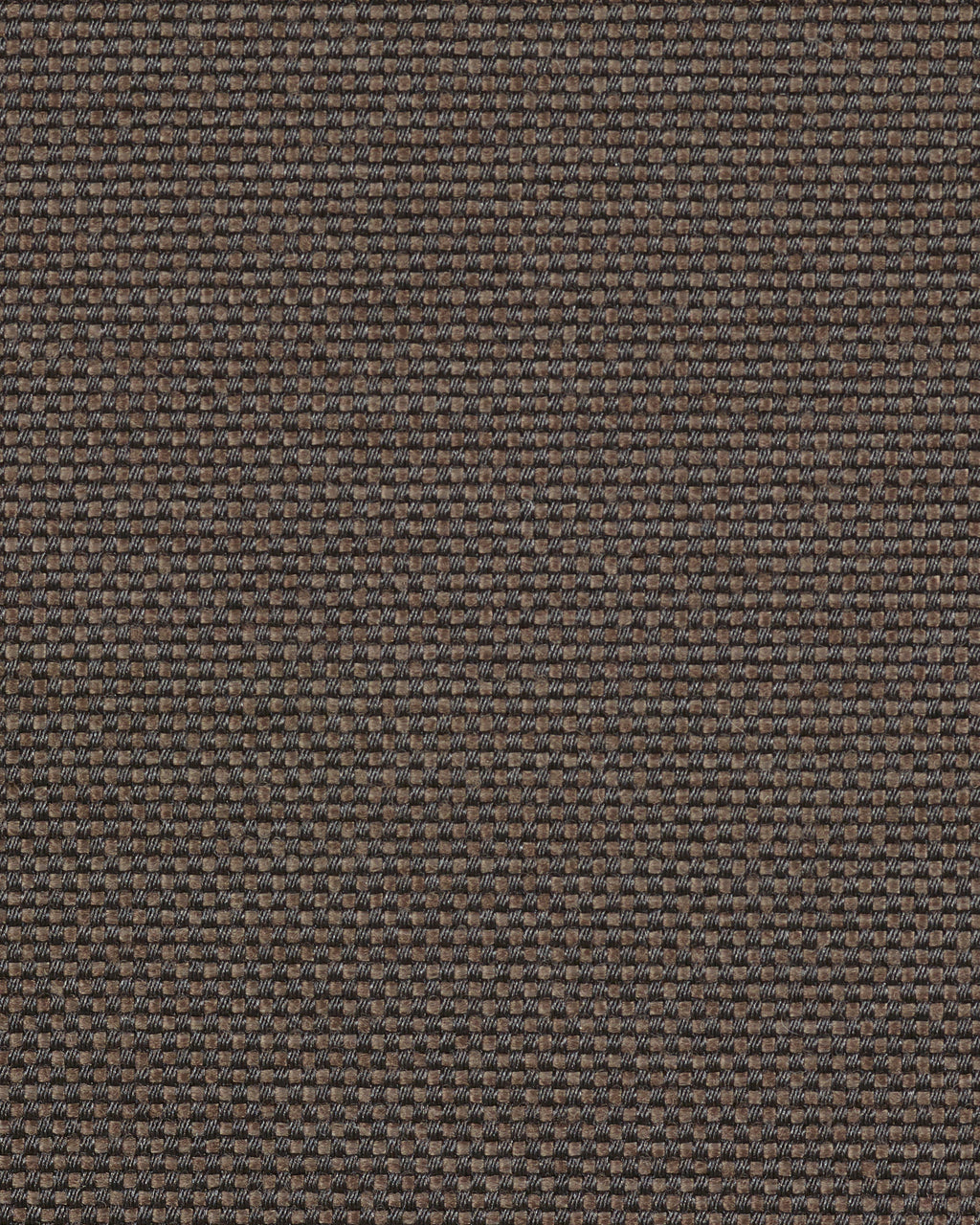 B7218236 Serax Bea Mombaers