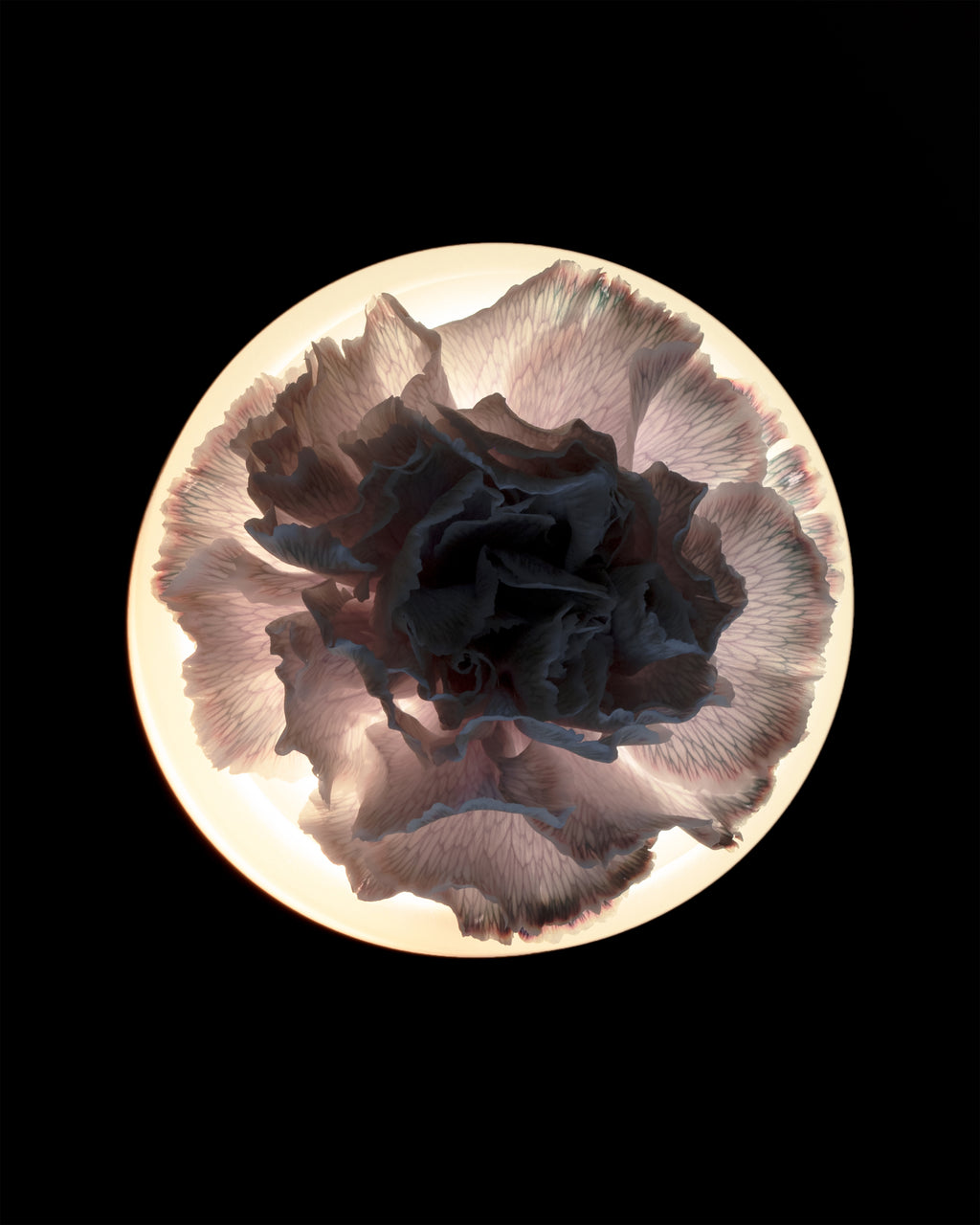 B0821101 Ann Demeulemeester Ann Demeulemeester