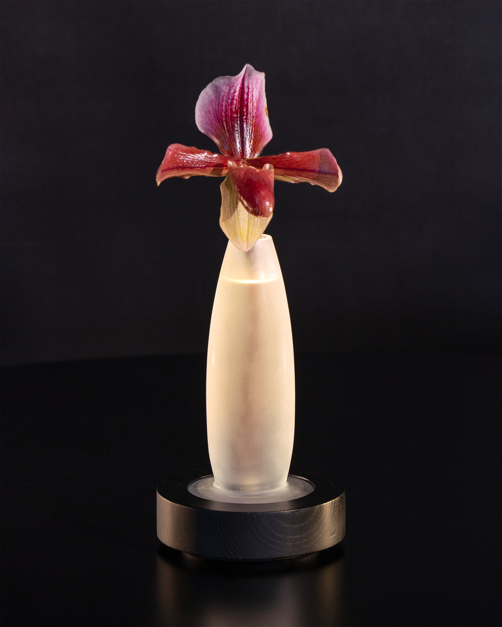 B0821105 Ann Demeulemeester Ann Demeulemeester