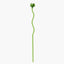 B4325001-500 Serax Kris Van Assche