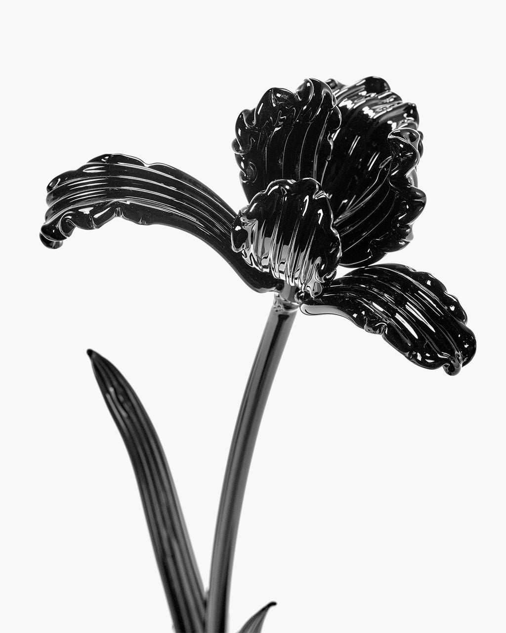 B4325003-900 Serax Kris Van Assche