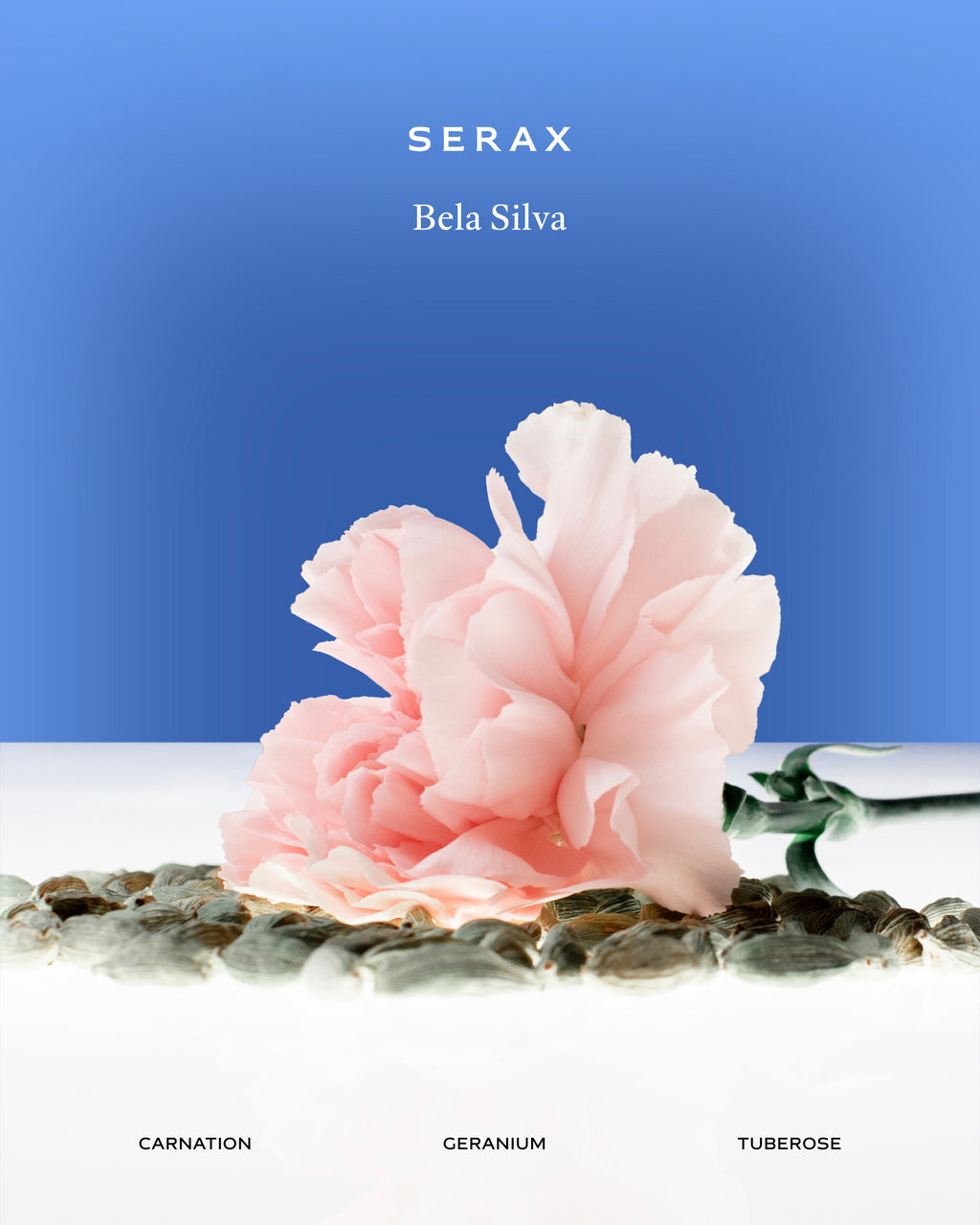 B6524006-004 Serax Bela Silva
